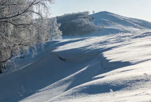 木兰围场+乌兰布统塞北雪乡越野车穿越+半日游【雪原景点：越野车雪原深度穿越3-4小时】