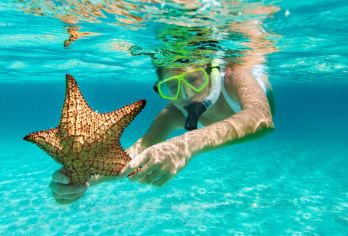 丹岛一日游【可追逐粉红海豚丨可加猪岛】【丹岛是苏梅岛南部的一个新开发的岛屿，浮潜胜地；】