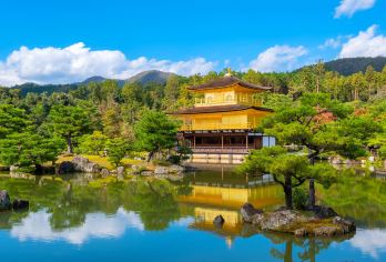 金阁寺+岚山+伏见稻荷大社+奈良公园一日游【金阁寺为金碧辉煌的世界遗产，以金箔覆盖的舍利殿，感受北山文化的魅力。】