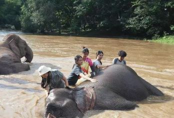 泰国清迈纳财大象呵护半日游+竹筏漂流+粘粘瀑布【酒店接送+含午餐+中文导游】