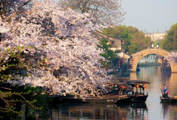 上海往返：西塘+巧克力小镇 |一单一团 |中英多语定制包车#【[品质纯玩]拒绝走马观花式游览，资深司导一站到底式管家】