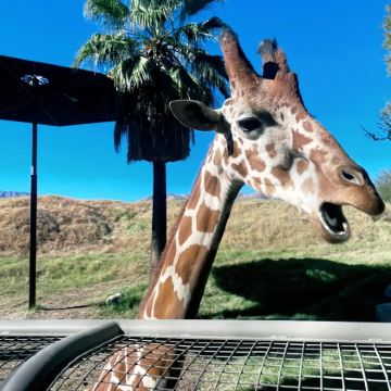 美国洛杉矶-救赎山-沙漠奥莱-棕榈泉/包车【精选老司机】
