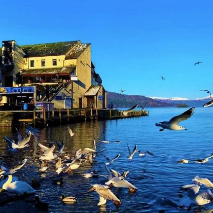 曼彻斯特英国湖区国家公园一日游【走遍英国  看湖区景色】