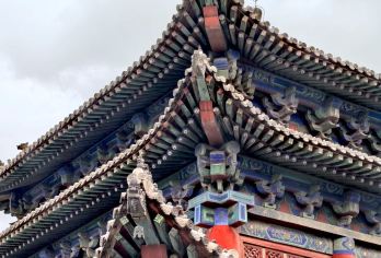 洪洞大槐树【汀兰集  大咖1.5小时讲解  独立成团】【[趣味课题]讲解过程丰富有趣，理解才更好；】