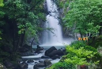 九华山一日游|当地参团|门票景交+车导-纯玩祈福之旅【[九华祈福]妙有分二气，灵山开九华，佛教名山】