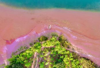 【游船花海海滩】昆明抚仙湖纯玩一日游+粉红沙滩【品尝抚仙湖美食节获奖餐厅滇湖缘，品尝特色铜锅鱼，洋芋焖饭】