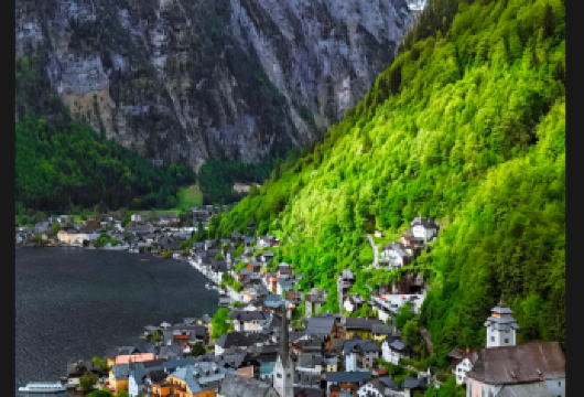 迈阿密 温伍德艺术区+南海滩+小哈瓦那+设计区+比斯坎湾【[定制包车游]专享中文司机独立包车，市区范围酒店上门接送，行程路线天数可根据个人需求调整。】