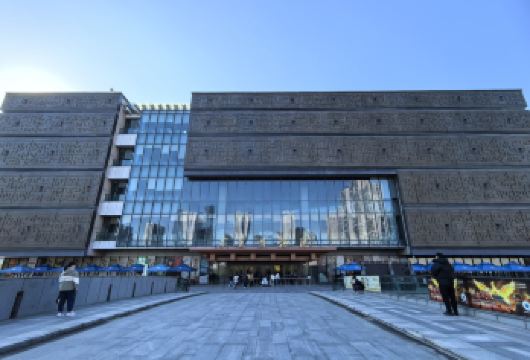 【跟着春晚游合肥】 哈工大机器人+安徽博物院+地质博物馆1日【[服务保障]本地司车导，合肥二环内免费接送，私家团，一单一团，适合多家庭出游，可私人/团队定制】