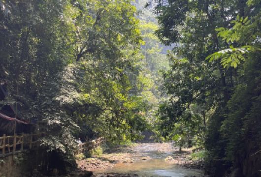 崇左德天跨国瀑布景区+通灵大峡谷一日游（2-8人小团）【游览时间充足，无购物、无自费】