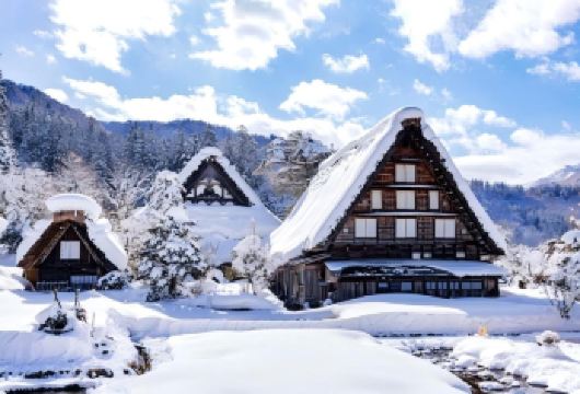 日本名古屋白川乡+飞驒tuo高山+《你的名字》纯玩一日游【[新春限时特惠]真纯玩，不进店不推销，无隐形消费，下单就成团，天天发团；】