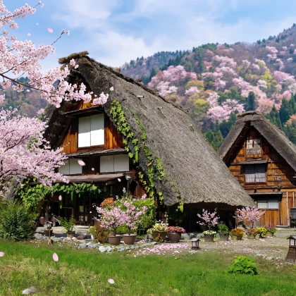 日本名古屋白川乡+飞驒高山一日游【可选9人小团酒店接送】