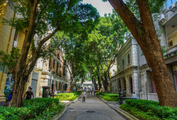 广州花城广场+黄埔军校+沙面+永庆坊+陈家祠+珠江夜间活动一日活动【门票全包，无购物无自费。】