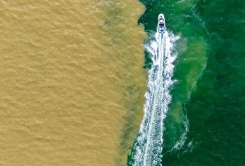 东营黄河口+孤东海堤观鸟浪高品一日【私家团上门接送·真纯玩】【[放心出游]行程透明无购物，深度畅游黄河口精华景点，观海堤黄河落日，拒绝走马观花，首道门票均已包含】