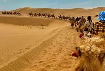 银川-66号公路-沙坡头--银川：来宁夏玩出世界范儿【6人小团、摒弃走马观花；带你看不一样的宁夏】