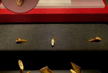 海昏侯+八一起义纪念馆+滕王阁一日活动【甄选优秀导游服务】【侯国华章 大汉荣光】