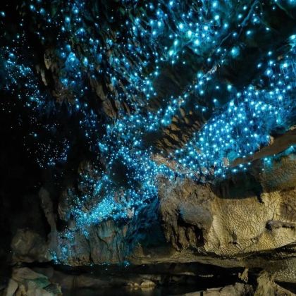 黄金海岸天宝林山蓝光萤火虫夜游观星之旅【中文小团】