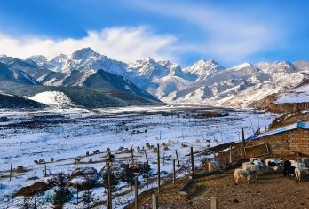 乌鞘岭＋天梯山石窟＋白塔寺 ＋马牙雪山一日游舒适九座【武威】【纯玩无购物】