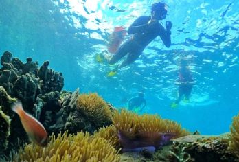 富国岛珊瑚礁浮潜半日游【10人精品小团+酒店接送+2次浮潜】【快艇出海探索富国海底珊瑚山、半月礁、May Rut 岛......有水下向导】