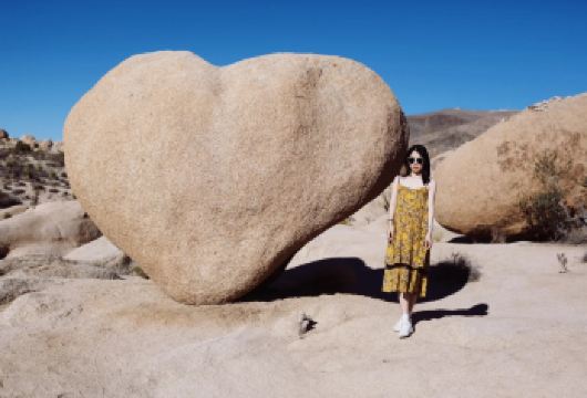 美国凤凰城！约书亚树国家公园-救赎山12h包车【精选老司机】【包车一日游，解锁旅行新方式！独立车辆配备经验丰富的老司机，为您量身打造专属行程。】