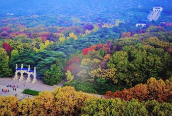 【私家团·民国风华】中山陵/美龄宫/总统府/颐和路一日含车导【一单一团，独立成团，精选景点，专职导游讲解，含门票及用车】