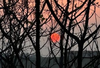 日本东京+日光+明智平索道一日游/行程可调-可定制多日【包车一日游，解锁旅行新方式！独立车辆配备经验丰富的老司机，为您量身打造专属行程。】