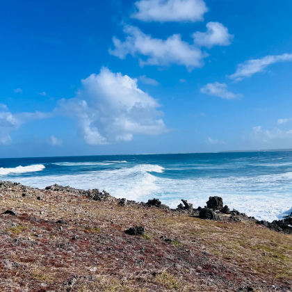 自然桥四驱车 1 小时+蓝湾+大浪湾+双人起订 一日游