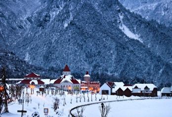 成都西岭雪山纯玩一日游（成都往返）【春赏杜鹃花海、夏享 25℃避暑、秋观层林红叶、冬玩林海雪原，四季风光各有韵味】