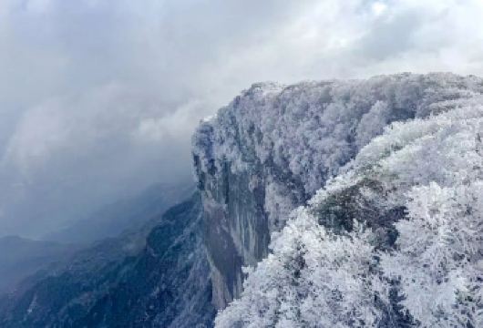 重庆金佛山一日游【雪山/云海/雾凇/10H包车/英文导游】【专车上门接送，直达景区，省去交通奔波，让旅途更舒适省心。】