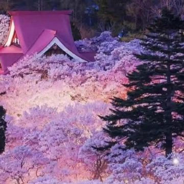 日本名古屋犬山城+马笼宿+妻笼宿+恵那峡展望台一日游