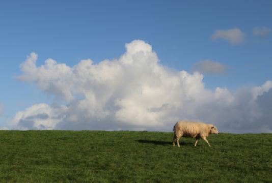 辉腾锡勒草原+乌兰哈达火山一日 | 8人团｜多套餐丨迎春丨【[我们承诺]无购物无强制消费，本地旅行社，小团套餐呼和浩特市区免费上门接送！！!】