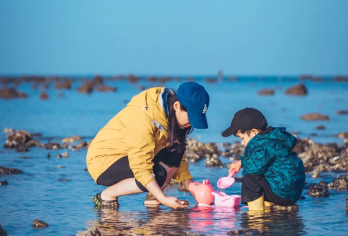 厦门小嶝岛一日游【亲子赶海·12人精品小团海鲜餐下午茶沙滩】【[行程比别人更多]除了礁石赶海外，我们多了：拉地笼古法捞螃蟹+沙滩下午茶；赶海所有收获现场煮给大家吃】