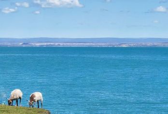 茶卡盐湖+青海湖+日月山一日游【精选路线巴士团】【优秀司导带队·纯玩不进店·多集合点可选】