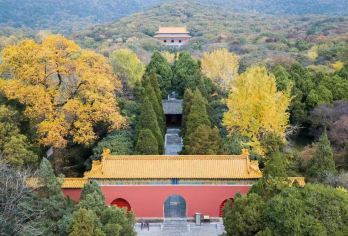南京一日活动-钟山风景名胜区+中山陵景区【赠中山陵预约】【[专业导游]一座金陵城、半部民国史，签约导游带您深度打卡金陵，了解明代皇家皇陵和民国文化】