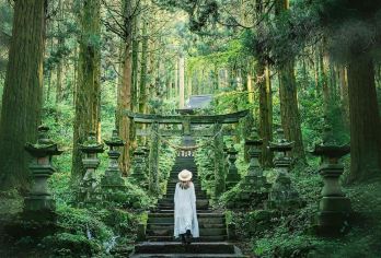 日本福冈秘境神社·阿苏火山·草千里·黑川温泉一日游|熊本往返【[秘汤小镇] 赠送温泉鸡蛋或等价小礼品，探访黑川温泉老街，自由泡汤或享受闲适山间时光。】