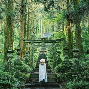 日本福冈秘境神社·阿苏火山·草千里·黑川温泉一日游|熊本往返