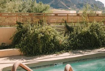 美国凤凰城-凤凰城动物园、植物园~包车一日游【精选老司机】【包车一日游，解锁旅行新方式！独立车辆配备经验丰富的老司机，为您量身打造专属行程。】