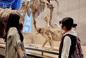 上海自然博物馆【大笙说2小时趣味讲解/可选私家团/含门票】【[私密小团免聚集]15人小团高品质专业导师讲解，没有大团的嘈杂，减少等待时间，给您带来更好的旅游体验】
