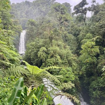 哥斯达黎加圣何塞波阿斯火山咖啡农场La Paz瀑布花园1人起