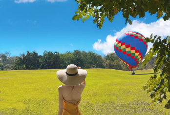 野象谷+中科院植物园一日游【精品纯玩18人团+集合点上车】【植物园内，千种植物构成多彩画卷，野象谷中，繁茂雨林尽显自然野性，一日之内饱览多样自然景观。】