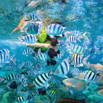 芽庄跳岛游，快艇探索黑岛珊瑚礁