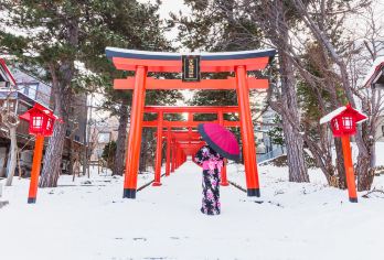 京都伏见稻荷大社+奈良公园等7大打卡热点一日游 (大阪出发)【穿越千鸟居 | 走进伏见稻荷大社，步入千本红色鸟居，蜿蜒小径通向山林深处，沉浸独特神社文化的神秘感。】