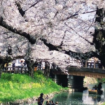 日本东京-川越市一日包车【中文司机/上门接送/行程可调】