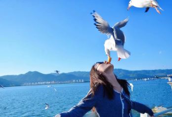 昆明石林+滇池一日游【二环接车◆可选9点晚出发或15人小团】【[多样需求]3大团型任选—性价比大巴团/15人轻奢小团/9点晚出发懒人团，总有一款适合您！】