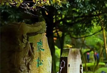 头等舱2+1保姆车都江堰景区+成都大熊猫繁育研究基地一日游【千年古堰随心看、顶流萌宝自由观】