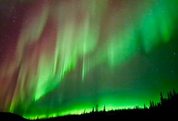 美国阿拉斯加州费尔班克斯Aurora Pointe/木屋观测【[极光木屋观测|舒适追光|VIP小团|市区酒店接送]】