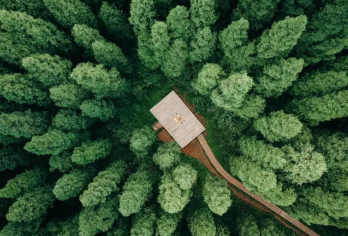 中坝森林公园+蟠龙谷一日游【路线友好，强度低丨精装朋友圈】【[徒步精选]中坝森林+蟠龙谷+海窝子：成都周边休闲放松路线，穿越原始森林丨玩水嬉戏丨瀑布大片丨古镇街】