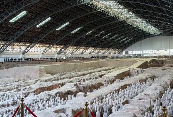 陕西兵马俑博物馆半日游【精品小团+深度讲解】【无购物】