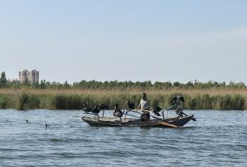 白洋淀一日游·专车接送【家庭·团建·考察·定制·研学】【「秦皇岛·承德·张家口·石家庄·保定·唐山·邯郸·廊坊·沧州·邢台」— 这么近，那么美，周末到河北！】