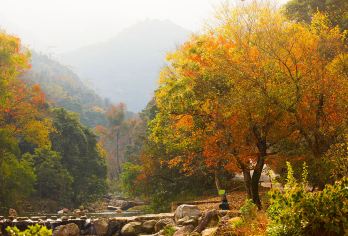 唐城揽尽盛唐色，鹿门寺听松风 —— 一程踏遍诗与禅【中文司机】