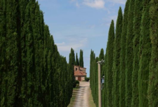 意大利罗马+Val d'Orcia+锡耶纳+佛罗伦萨【罗马一路前往佛罗伦萨，感受意大利北部风光】